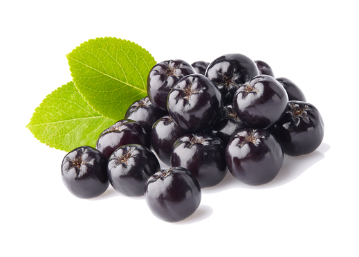 Aronia berries used in our Elderberry Syrup.