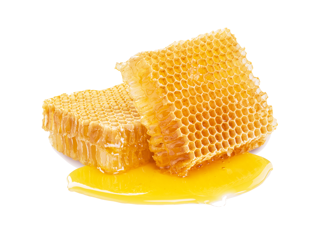 Raw honey used in our Elderberry Syrup.