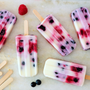 Elderberry Yogurt Popsicles: A Refreshing Fall Treat to Support Your Immune System