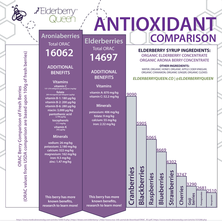 Organic Elderberry Syrup 30 fl oz